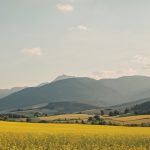 Лучшие бренды оборудования для бетона